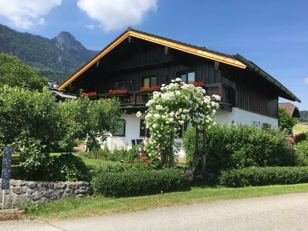 Ferienwohnung Meindl Elfi An Der Drachenwand 44 Mondsee Exterior photo